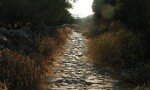 Όρμος – Θολάρια – Λαγκάδα Πήραμε το μονοπάτι για τα Θολάρια από το τέλος της αμμουδιάς, παλιό ανηφορικό καλντερίμι που περνάει μέσα από τις εγκαταλειμμένες πια αναβαθμίδες. Πριν από μερικές...