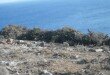 Κάτω Μεριά